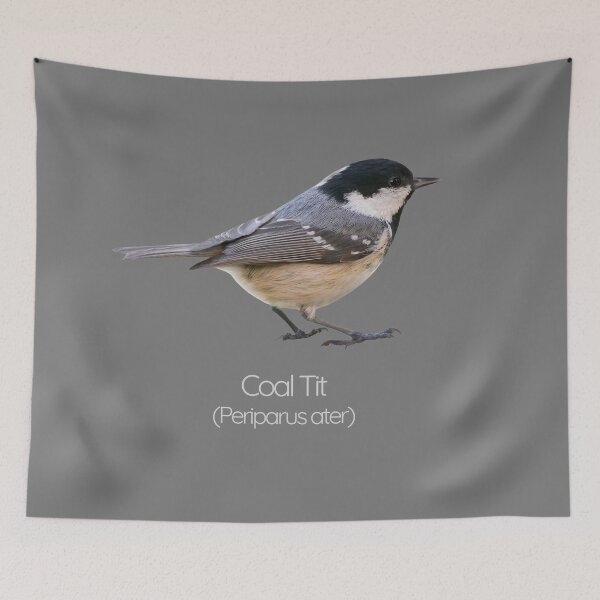 Item preview, Coal Tit | The Tiny Forager of British Woodlands designed and sold by The Digital Compass.