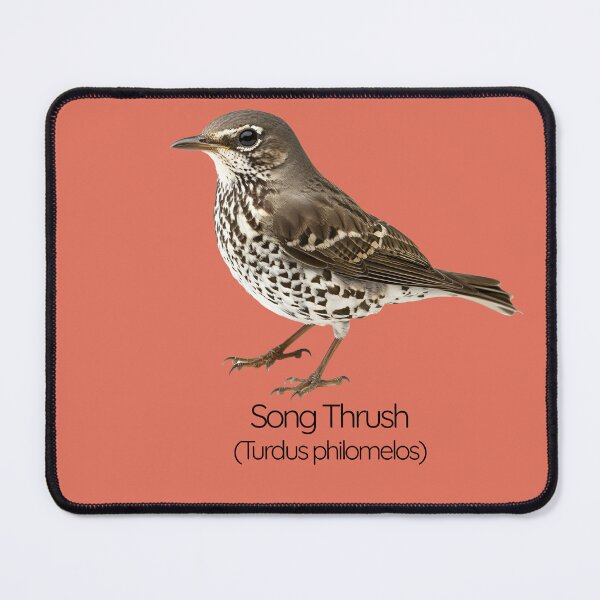 Item preview, Song Thrush | The Melodious Garden Performer designed and sold by The Digital Compass.