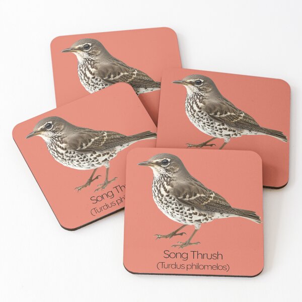 Item preview, Song Thrush | The Melodious Garden Performer designed and sold by The Digital Compass.