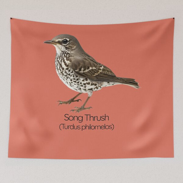 Item preview, Song Thrush | The Melodious Garden Performer designed and sold by The Digital Compass.