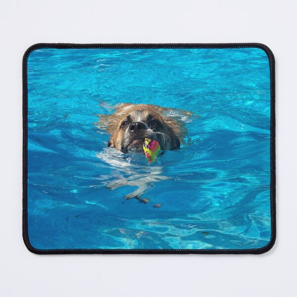 Item preview, Cute dog swimming with the ball designed and sold by Raineylanes.