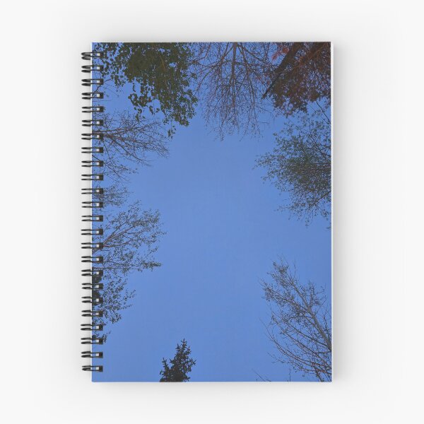 Item preview, Tall, tall trees designed and sold by Shoppinmammaj.