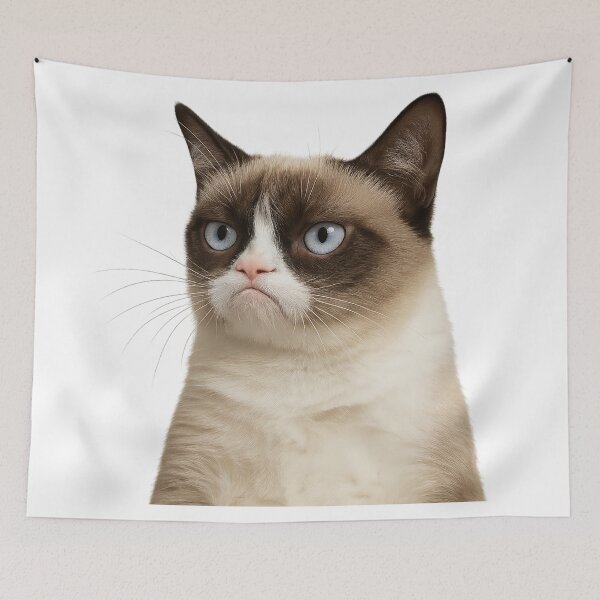 Item preview, Angry cat meme designed and sold by DibujandoPorfa.