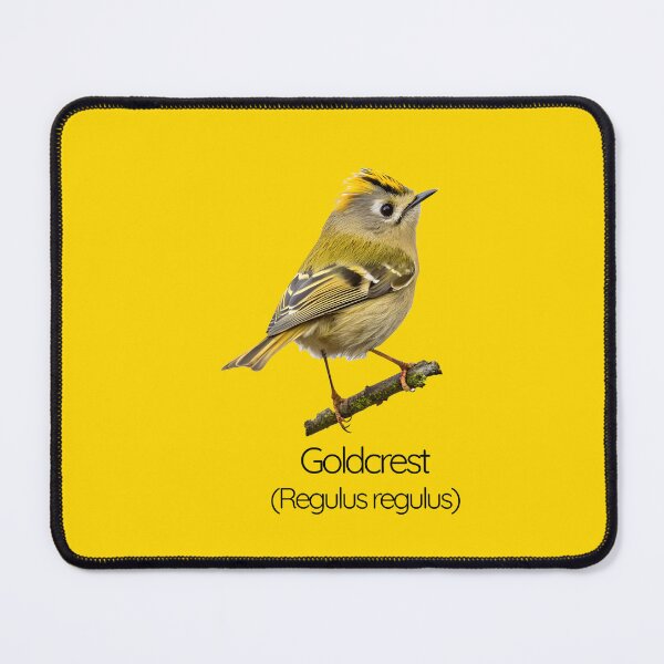 Item preview, Goldcrest | The Tiny Crowned Jewel of British Woodlands designed and sold by The Digital Compass.