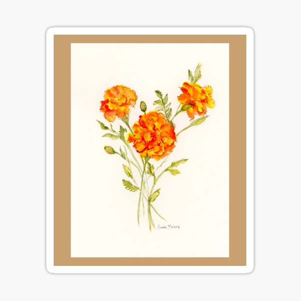 Marigolds - watercolor painting Sticker