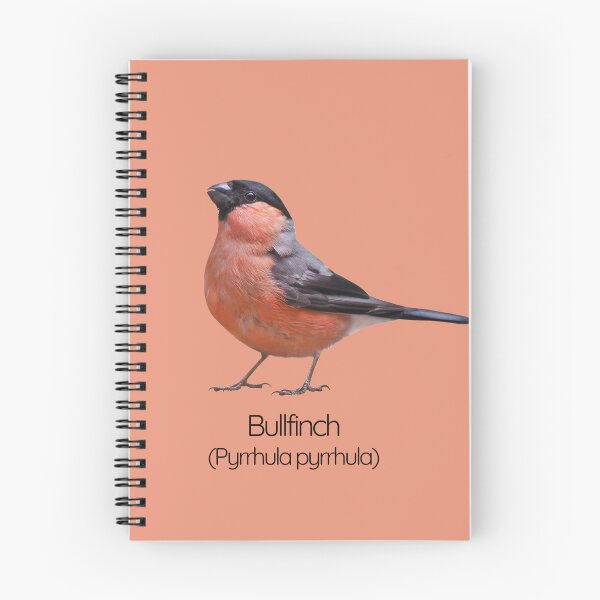 Item preview, Bullfinch | The Striking Songbird of British Woodlands designed and sold by The Digital Compass.