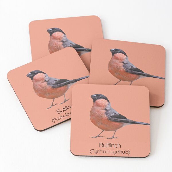 Item preview, Bullfinch | The Striking Songbird of British Woodlands designed and sold by The Digital Compass.
