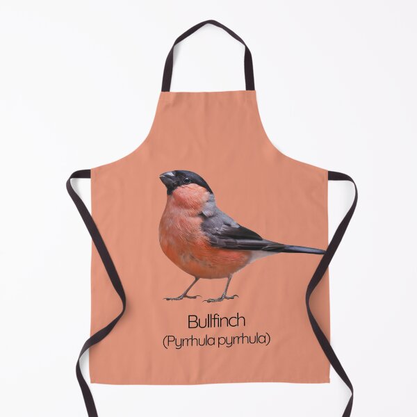 Item preview, Bullfinch | The Striking Songbird of British Woodlands designed and sold by The Digital Compass.