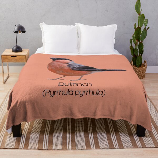 Item preview, Bullfinch | The Striking Songbird of British Woodlands designed and sold by The Digital Compass.