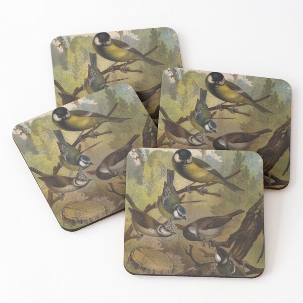 Item preview, Various species of Tits birds Bluetit Great Tit artwork designed and sold by Vintage Designs +.