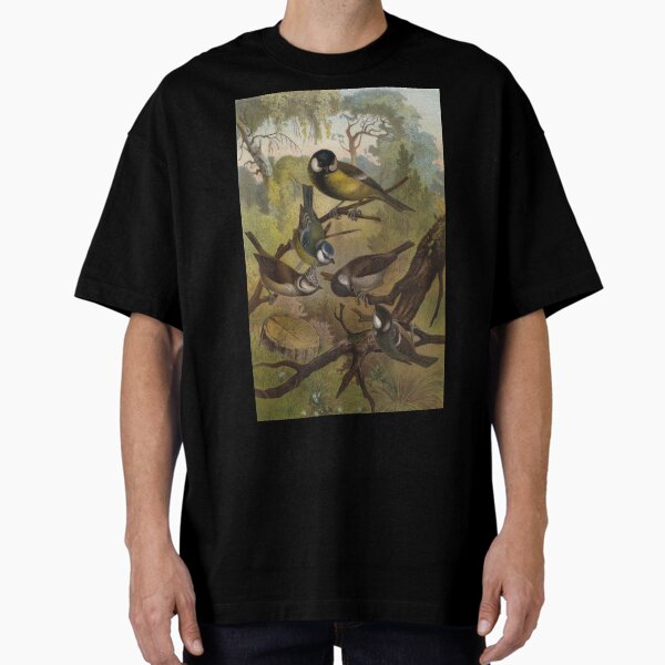 Item preview, Various species of Tits birds Bluetit Great Tit artwork designed and sold by Vintage Designs +.