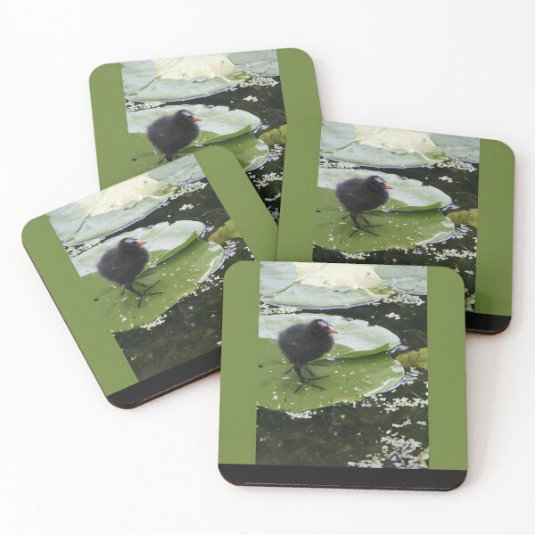 Item preview, Coot On A Lily Pad designed and sold by mengelpear.