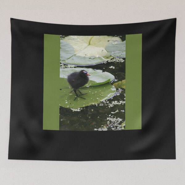Item preview, Coot On A Lily Pad designed and sold by mengelpear.