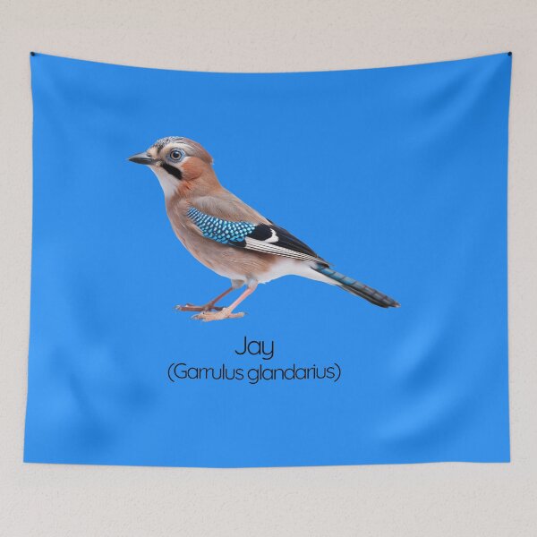 Item preview, Jay | The Vibrant Woodland Trickster designed and sold by The Digital Compass.