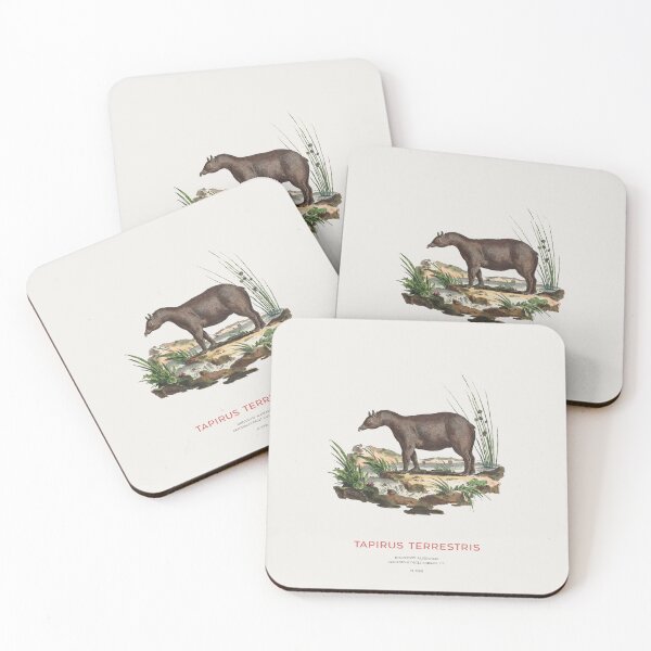 Item preview, South American Tapir Zoological Chart designed and sold by Vintagrafica.