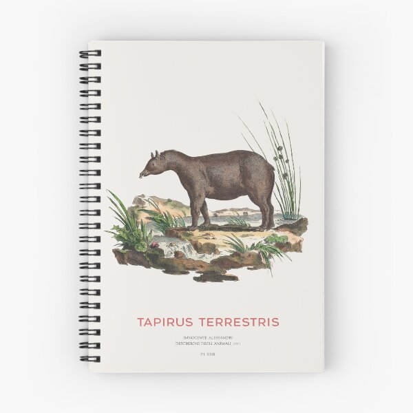 Item preview, South American Tapir Zoological Chart designed and sold by Vintagrafica.