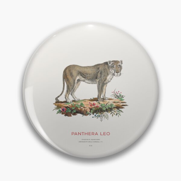 Item preview, Vintage Lion Scientific Illustration designed and sold by Vintagrafica.