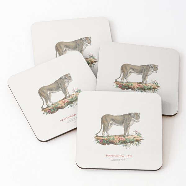 Item preview, Vintage Lion Scientific Illustration designed and sold by Vintagrafica.