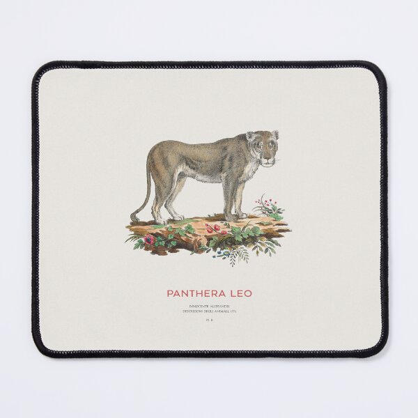 Item preview, Vintage Lion Scientific Illustration designed and sold by Vintagrafica.