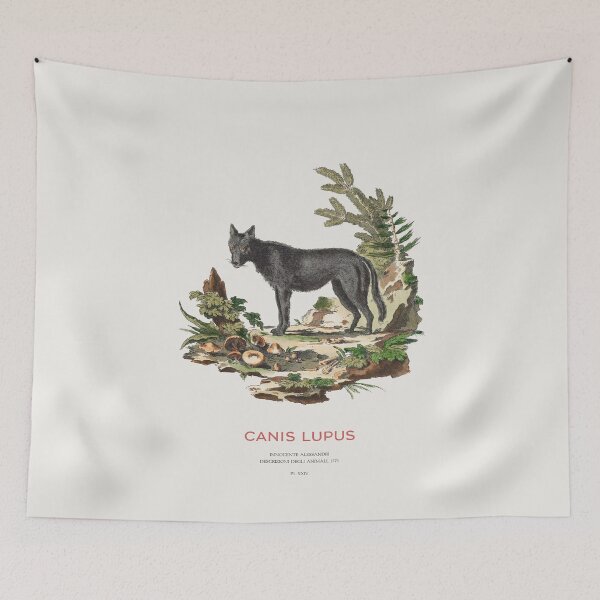 Item preview, Black Wolf Minimalist Scientific Art designed and sold by Vintagrafica.