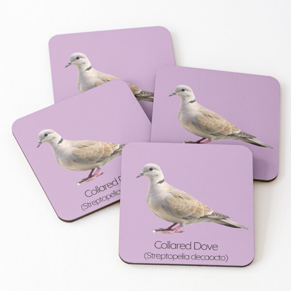 Item preview, Collared Dove | The Gentle Garden Visitor designed and sold by The Digital Compass.