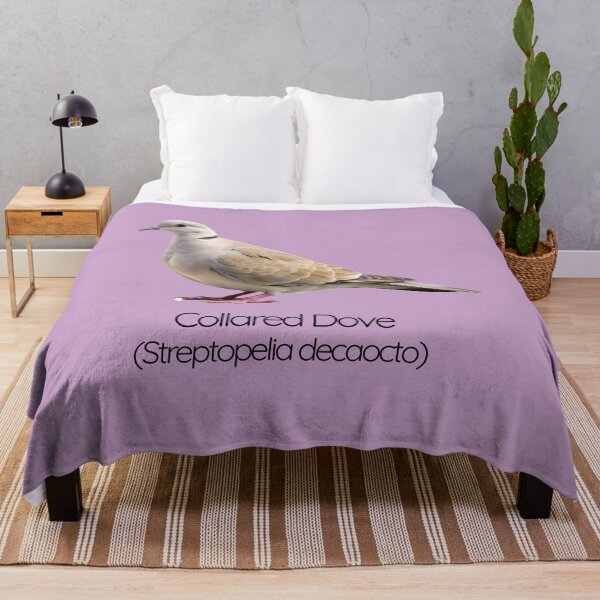 Item preview, Collared Dove | The Gentle Garden Visitor designed and sold by The Digital Compass.