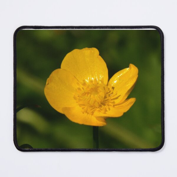 Item preview, Buttercup designed and sold by alex987854.