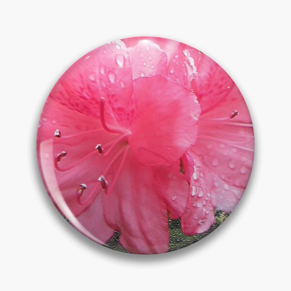 Item preview, Pink Flowers Against Textured Background designed and sold by BostonArcImage.