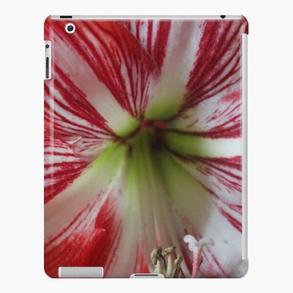 Regalos y productos: Flores De Amarilis | Redbubble