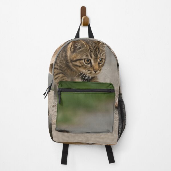 Item preview, Standoff: Kitten vs. Pit Bull – Who Blinks First? designed and sold by A Sinister Sly.