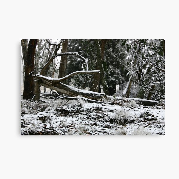 NSW Tablelands Canvas Print