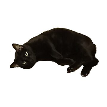 Artwork thumbnail, Black Cat by janewwu