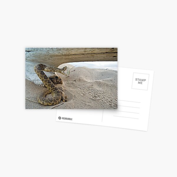 Item preview, Sneaky Snake designed and sold by Maria Dryfhout.