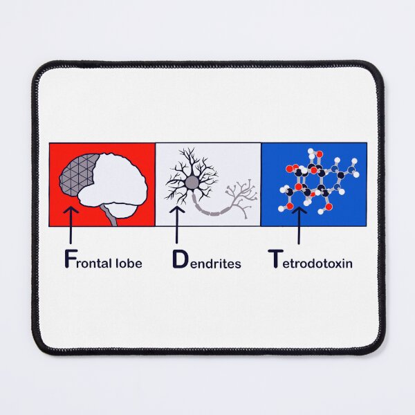 Item preview, FDT in Neuroscience Terminology designed and sold by Laura Bundesen.