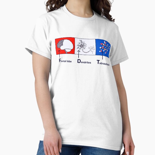 Item preview, FDT in Neuroscience Terminology designed and sold by Laura Bundesen.