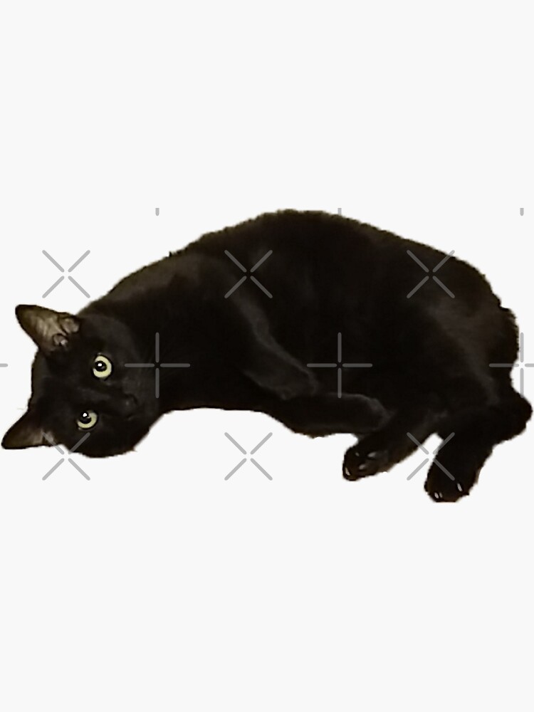 Thumbnail 3 of 3, Sticker, Black Cat designed and sold by janewwu.