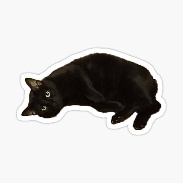 Black Cat  Sticker for Sale by janewwu