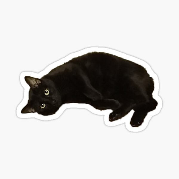 Cute Black Cat' Sticker