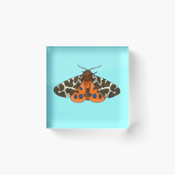 Item preview, Tiger moth designed and sold by Jmablesonart.