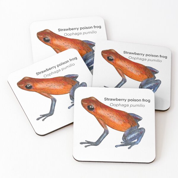 Item preview, Strawberry poison frog Oophaga pumilio with names designed and sold by DoodleSnake58.