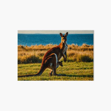 Item preview, kangaroo designed and sold by sid1802.