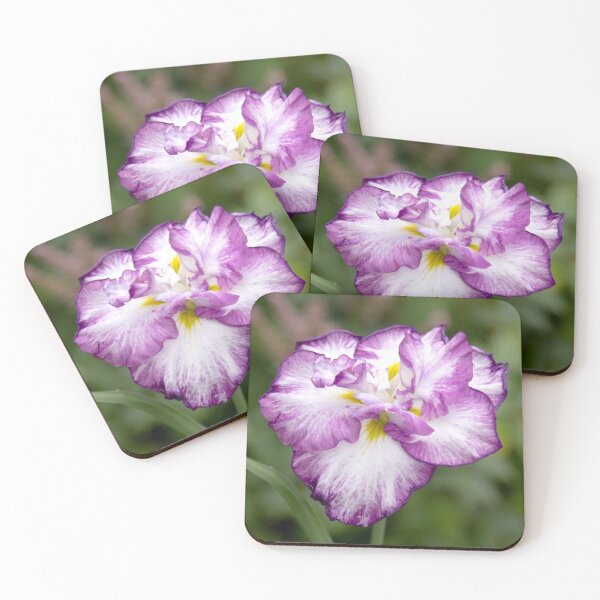 Aperçu de l'œuvre Iris du Japon créée et vendue par daphsam.