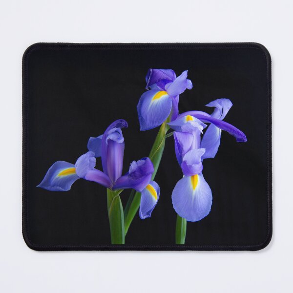 Item preview, Dance of Japanese Irises designed and sold by daphsam.