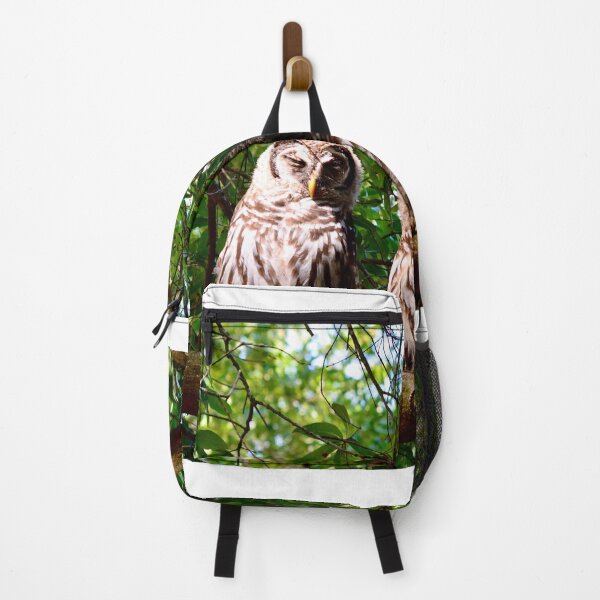 Item preview, Barred Owls Sunday Morning designed and sold by Warren Thompson.
