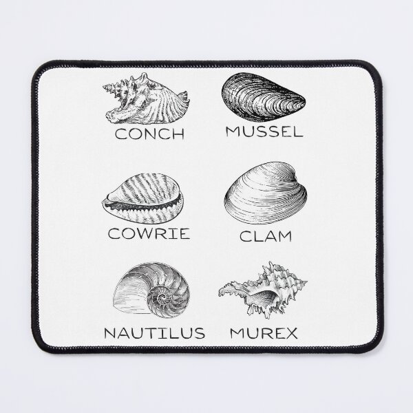 Item preview, 6 Types of Shells T-Shirt Design - Black designed and sold by BeWilDesigns.