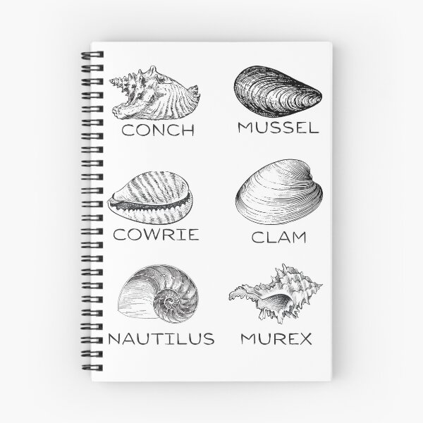 Item preview, 6 Types of Shells T-Shirt Design - Black designed and sold by BeWilDesigns.