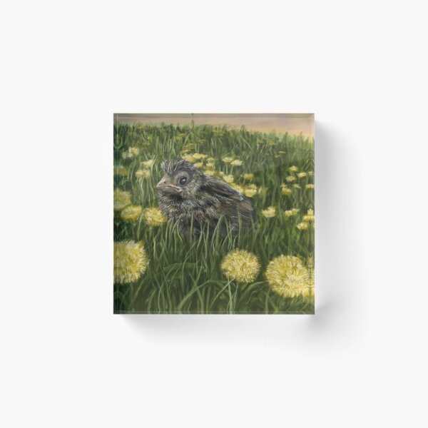 Item preview, Fledgling  designed and sold by Veganheathen.