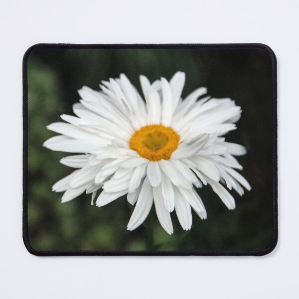 Item preview, Bright Blooming Shasta designed and sold by heatherfriedman.