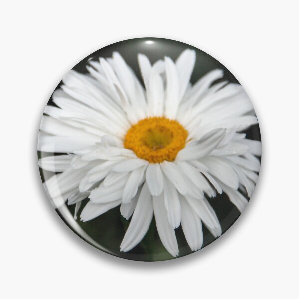 Item preview, Bright Blooming Shasta designed and sold by heatherfriedman.