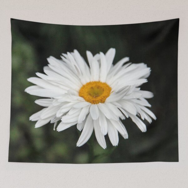 Item preview, Bright Blooming Shasta designed and sold by heatherfriedman.